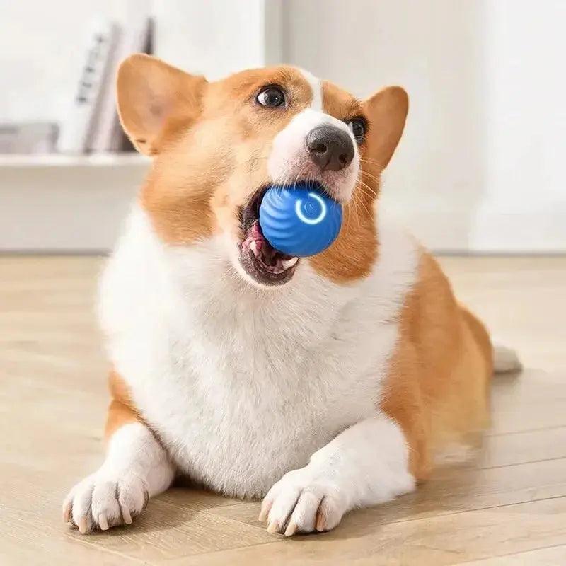 Electronic Interactive Moving Ball Pet Toy - Trusted Pet Products