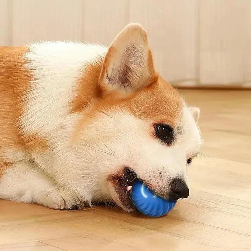 Electronic Interactive Moving Ball Pet Toy - Trusted Pet Products