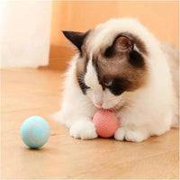 Electronic Interactive Moving Ball Pet Toy - Trusted Pet Products