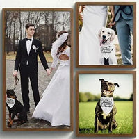 Engagement Gift, My Humans are Getting Married Dog Bandana - Trusted Pet Products