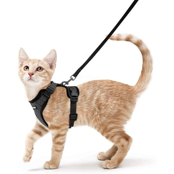 Escape Proof Cat Harness with Leash - Rabbitgoo - Trusted Pet Products