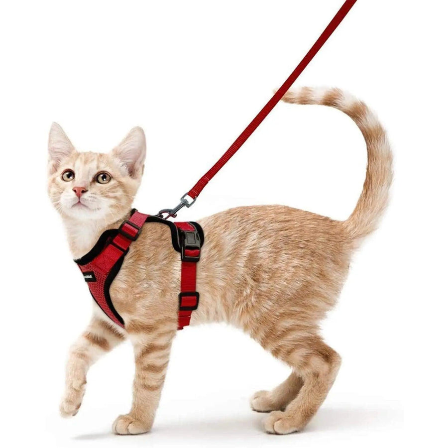 Escape Proof Cat Harness with Leash - Rabbitgoo - Trusted Pet Products