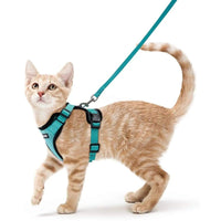 Escape Proof Cat Harness with Leash - Rabbitgoo - Trusted Pet Products