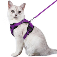 Escape Proof Cat Harness with Leash - Rabbitgoo My Store