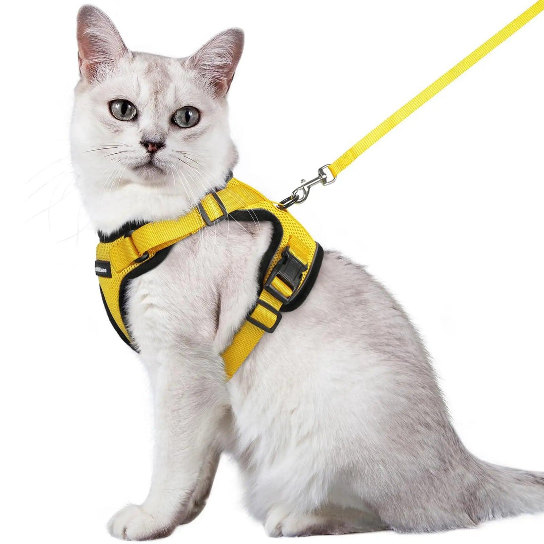 Escape Proof Cat Harness with Leash - Rabbitgoo - Trusted Pet Products