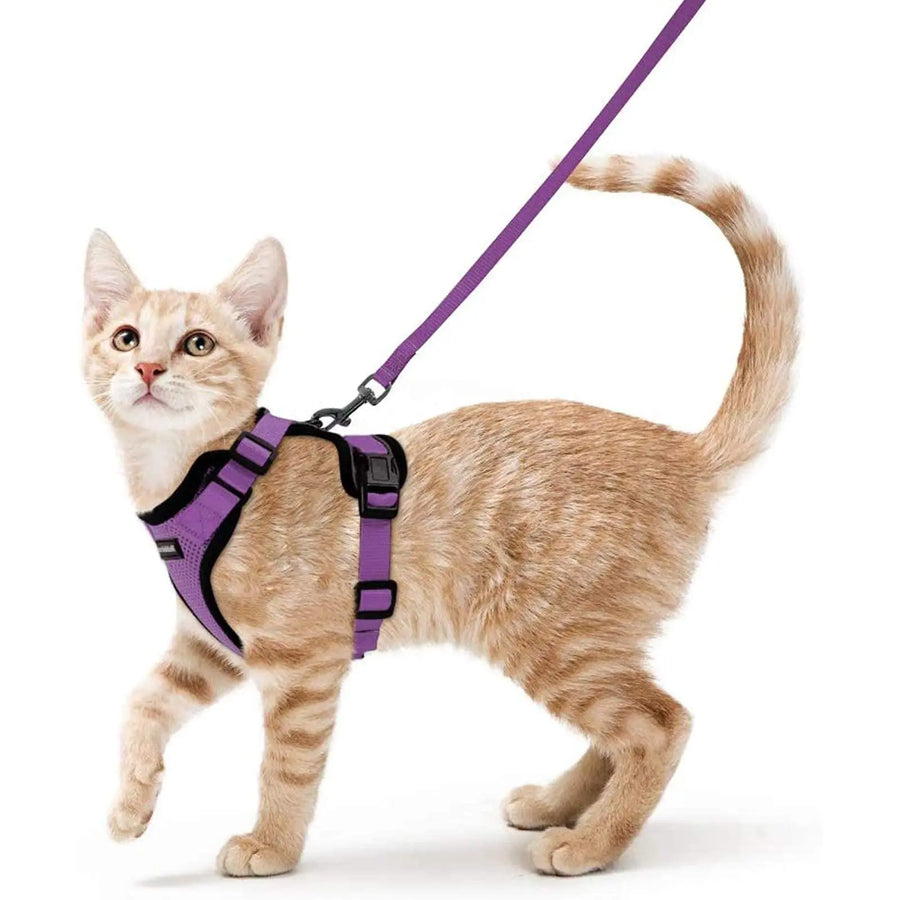 Escape Proof Cat Harness with Leash - Rabbitgoo My Store