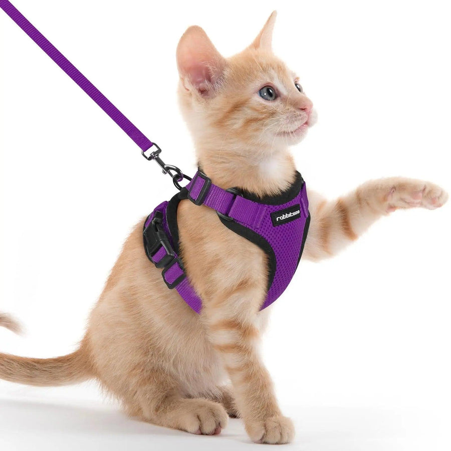 Escape Proof Cat Harness with Leash - Rabbitgoo - Trusted Pet Products