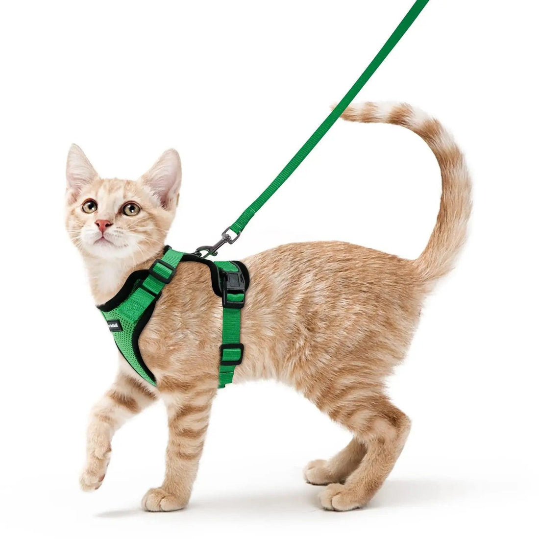 Escape Proof Cat Harness with Leash - Rabbitgoo - Trusted Pet Products