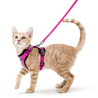 Escape Proof Cat Harness with Leash - Rabbitgoo My Store