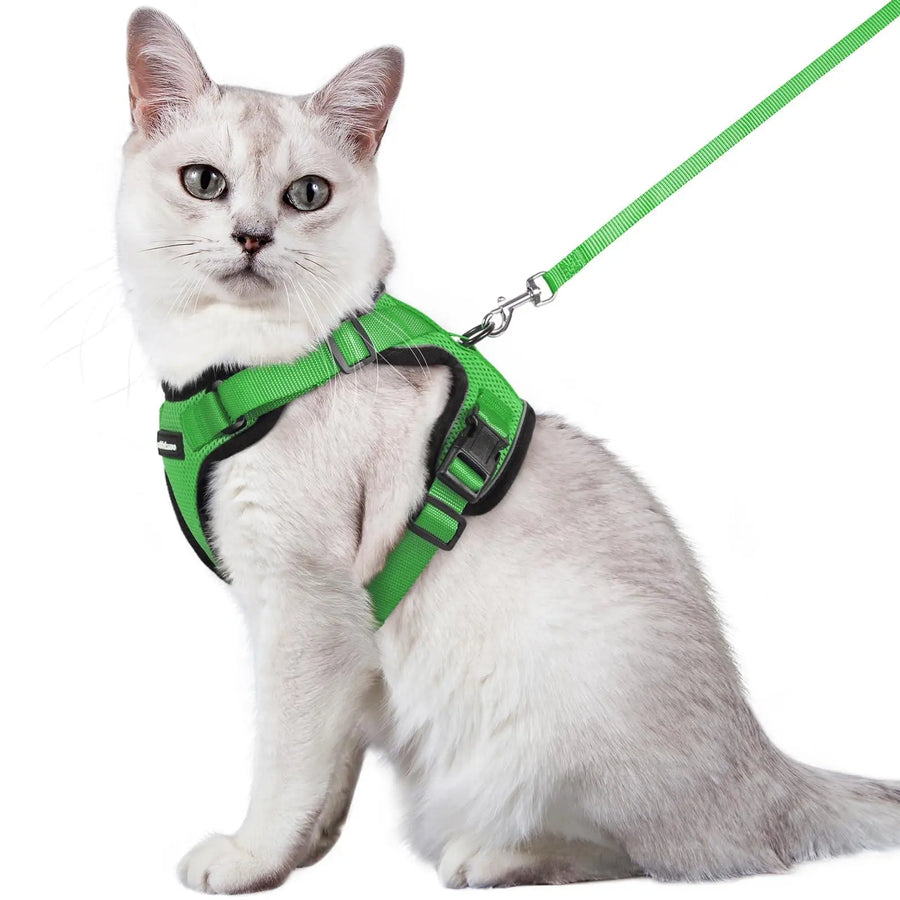 Escape Proof Cat Harness with Leash - Rabbitgoo My Store