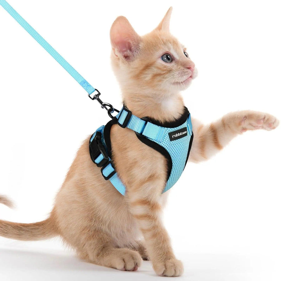 Escape Proof Cat Harness with Leash - Rabbitgoo - Trusted Pet Products