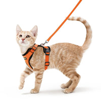 Escape Proof Cat Harness with Leash - Rabbitgoo - Trusted Pet Products