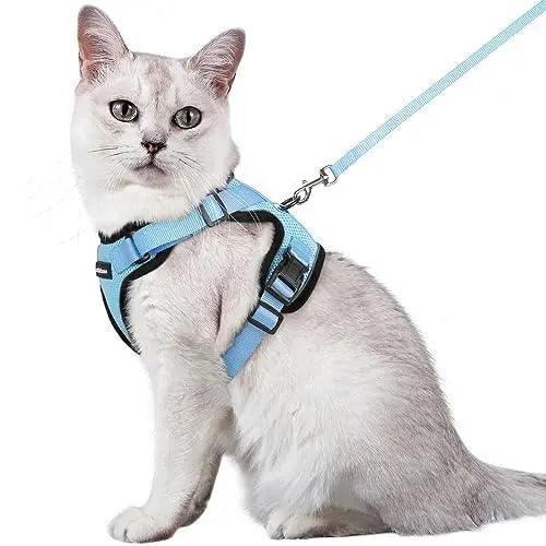 Escape Proof Cat Harness with Leash - Rabbitgoo - Trusted Pet Products