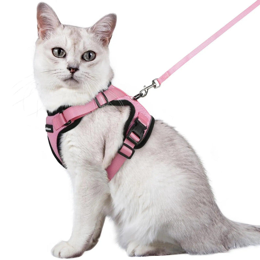 Escape Proof Cat Harness with Leash - Rabbitgoo - Trusted Pet Products