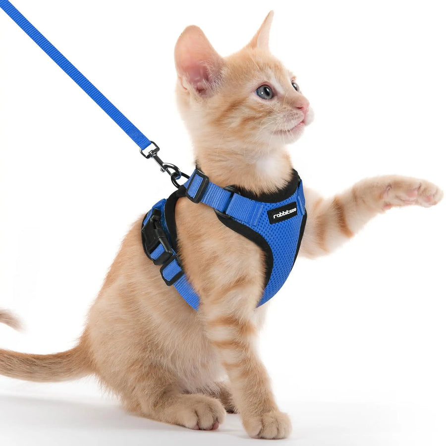 Escape Proof Cat Harness with Leash - Rabbitgoo My Store