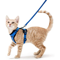 Escape Proof Cat Harness with Leash - Rabbitgoo My Store