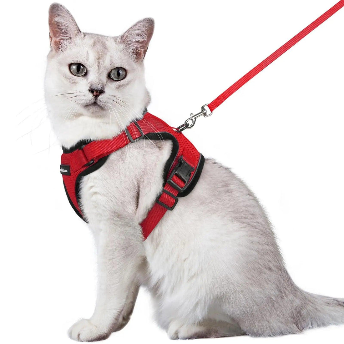 Escape Proof Cat Harness with Leash - Rabbitgoo - Trusted Pet Products