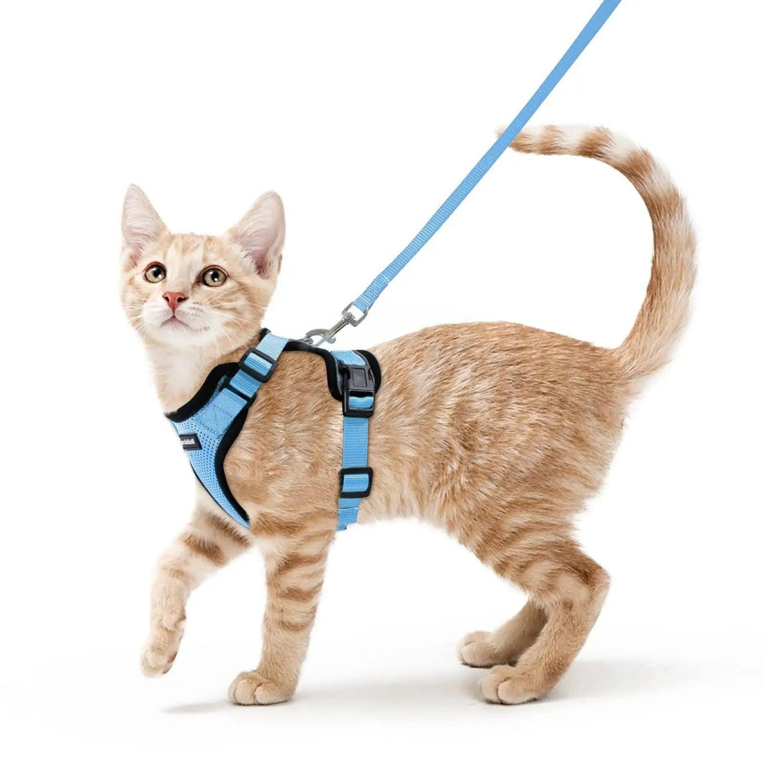 Escape Proof Cat Harness with Leash - Rabbitgoo - Trusted Pet Products