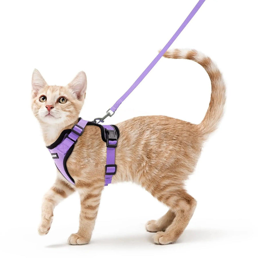 Escape Proof Cat Harness with Leash - Rabbitgoo - Trusted Pet Products