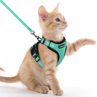 Escape Proof Cat Harness with Leash - Rabbitgoo My Store