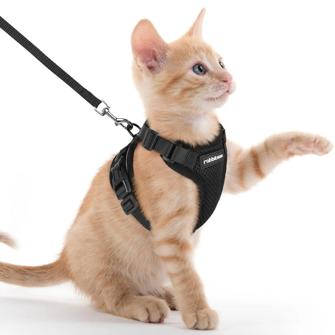 Escape Proof Cat Harness with Leash - Rabbitgoo - Trusted Pet Products