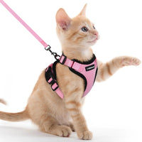 Escape Proof Cat Harness with Leash - Rabbitgoo - Trusted Pet Products