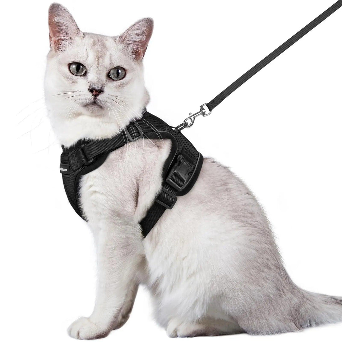 Escape Proof Cat Harness with Leash - Rabbitgoo - Trusted Pet Products