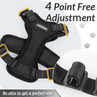 Escape Proof Cat Harness with Leash - Rabbitgoo - Trusted Pet Products