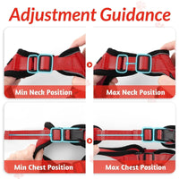 Escape Proof Cat Harness with Leash - Rabbitgoo - Trusted Pet Products