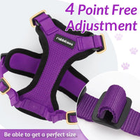 Escape Proof Cat Harness with Leash - Rabbitgoo - Trusted Pet Products