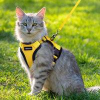 Escape Proof Cat Harness with Leash - Rabbitgoo - Trusted Pet Products