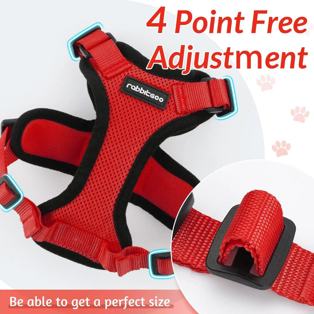 Escape Proof Cat Harness with Leash - Rabbitgoo - Trusted Pet Products