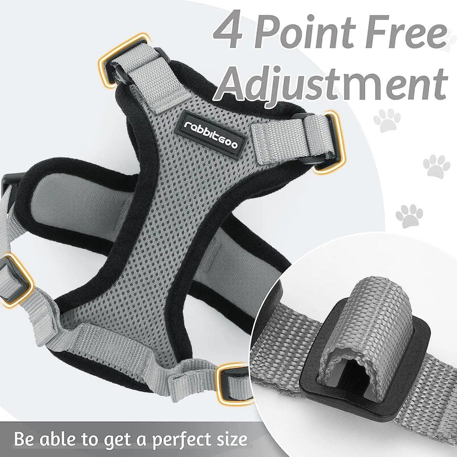 Escape Proof Cat Harness with Leash - Rabbitgoo - Trusted Pet Products