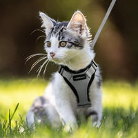 Escape Proof Cat Harness with Leash - Rabbitgoo - Trusted Pet Products