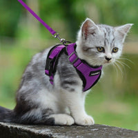 Escape Proof Cat Harness with Leash - Rabbitgoo - Trusted Pet Products