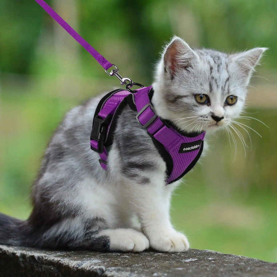 Escape Proof Cat Harness with Leash - Rabbitgoo - Trusted Pet Products