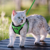 Escape Proof Cat Harness with Leash - Rabbitgoo My Store