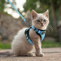 Escape Proof Cat Harness with Leash - Rabbitgoo My Store