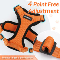 Escape Proof Cat Harness with Leash - Rabbitgoo My Store