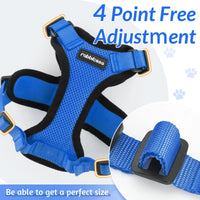 Escape Proof Cat Harness with Leash - Rabbitgoo My Store