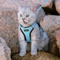 Escape Proof Cat Harness with Leash - Rabbitgoo My Store