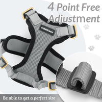 Escape Proof Cat Harness with Leash - Rabbitgoo My Store