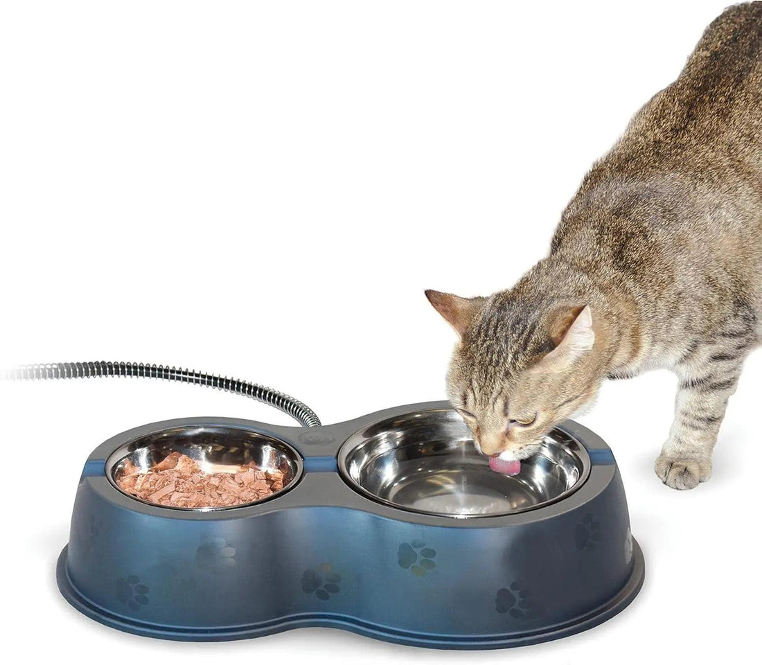 Feral Cat Feeding Station - Trusted Pet Products