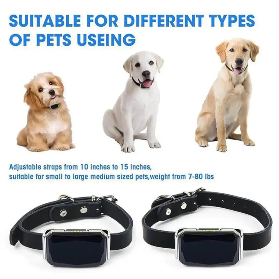 G12 GPS dog collar Smart Multifunctional Pet Locator Waterproof Trusted Pet Products