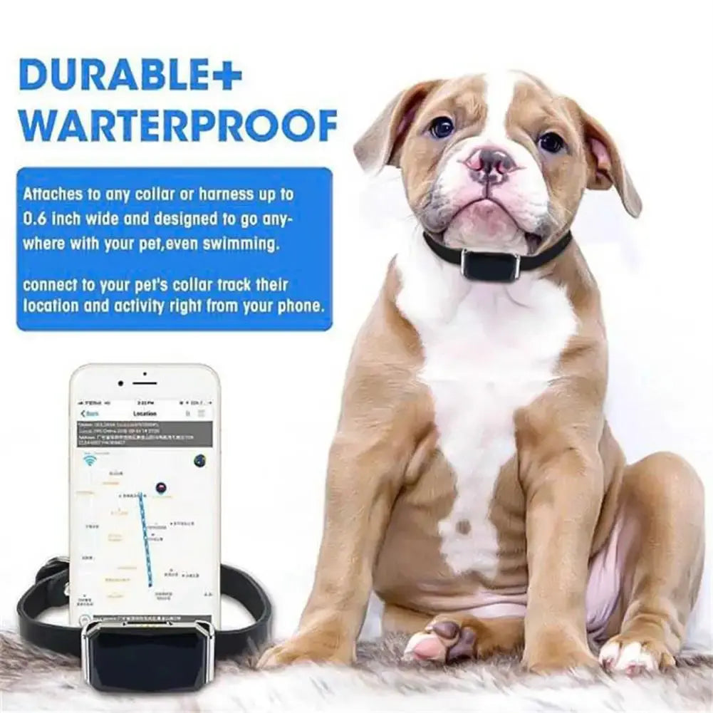 G12 GPS dog collar Smart Multifunctional Pet Locator Waterproof Trusted Pet Products