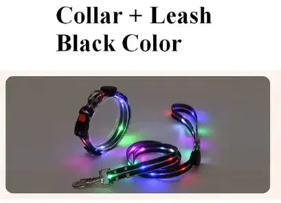 Glowing Pet Leash Trusted Pet Products