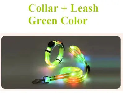 Glowing Pet Leash Trusted Pet Products