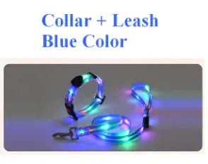 Glowing Pet Leash Trusted Pet Products