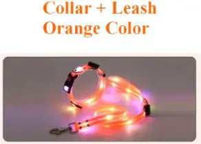 Glowing Pet Leash Trusted Pet Products