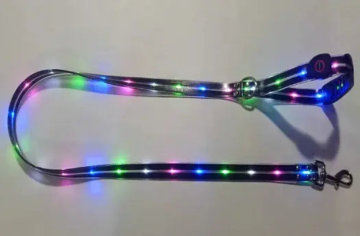 Glowing Pet Leash Trusted Pet Products